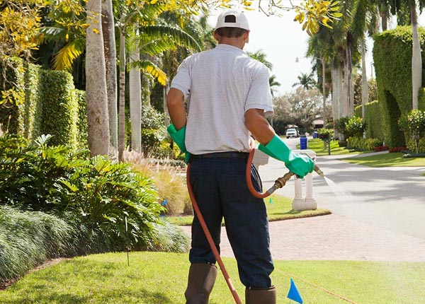 About Hugheston WV Pest Control